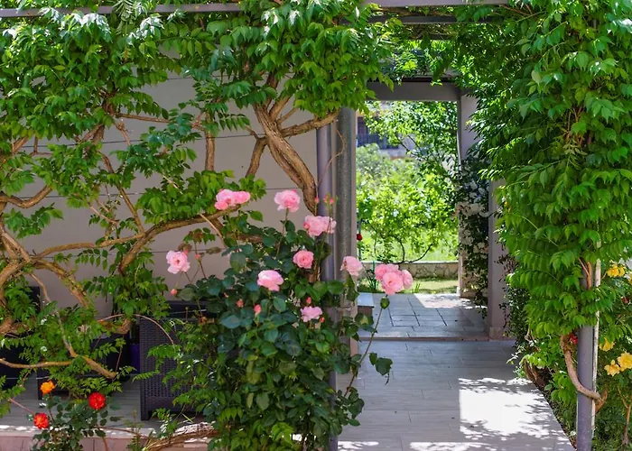 Apartment Charming House On The And Deluxe